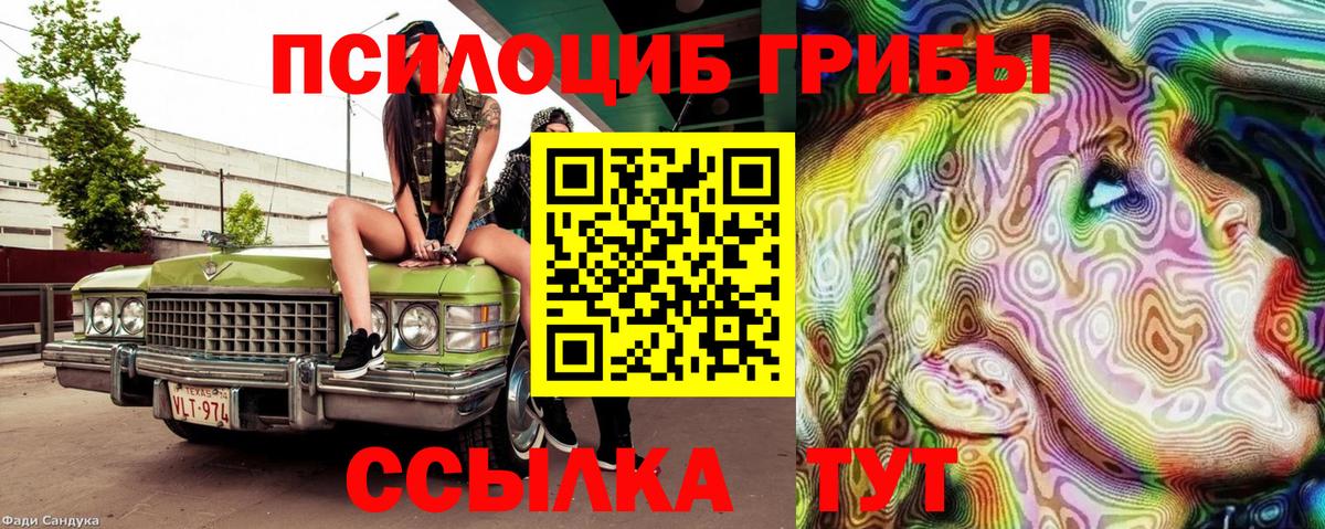 Псилоцибиновые грибы GOLDEN TEACHER Юрга