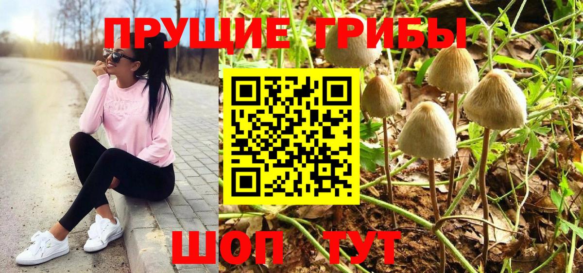 Юрга  Галлюциногенные грибы Psilocybe  продажа наркотиков  Вход с VPN 